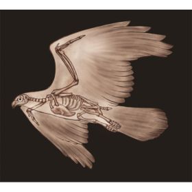 TAP -- Wall Covering Fabric (Option: TAP011-150x170cm)